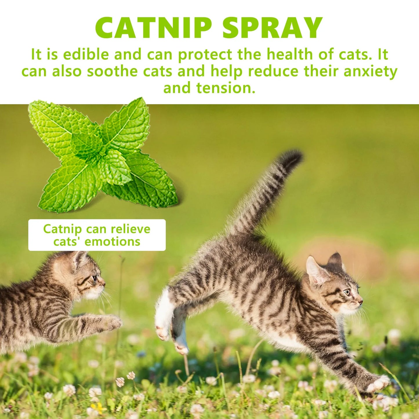 Yegbong Cat Catnip Spray Relieve Stress Long Lasting Anti Anxiety Health Care Sooth Mood Comfort Enhance Vitality Pet Calm Spray