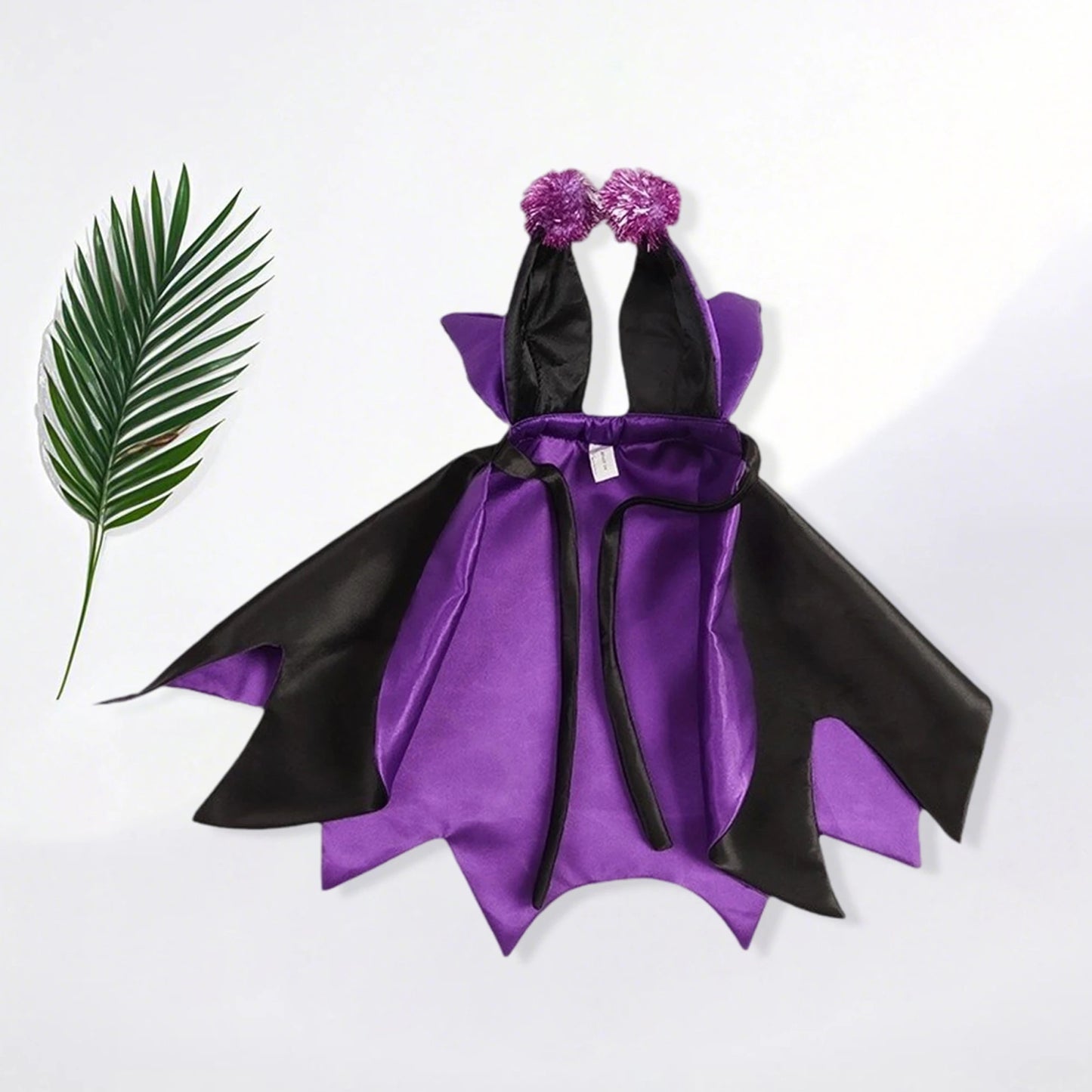 Halloween Pet Costume
