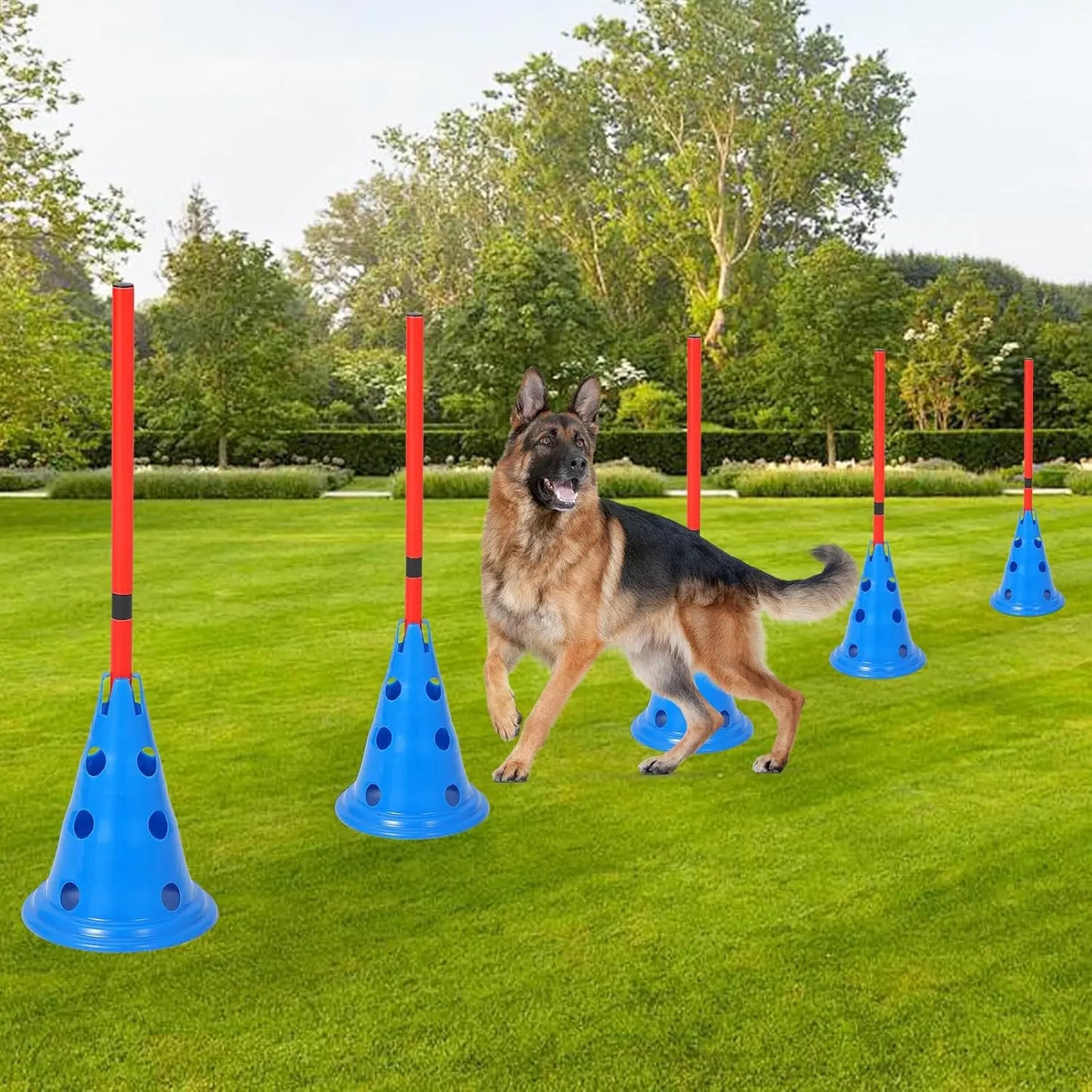 Dog Agility Hurdle Cone Set