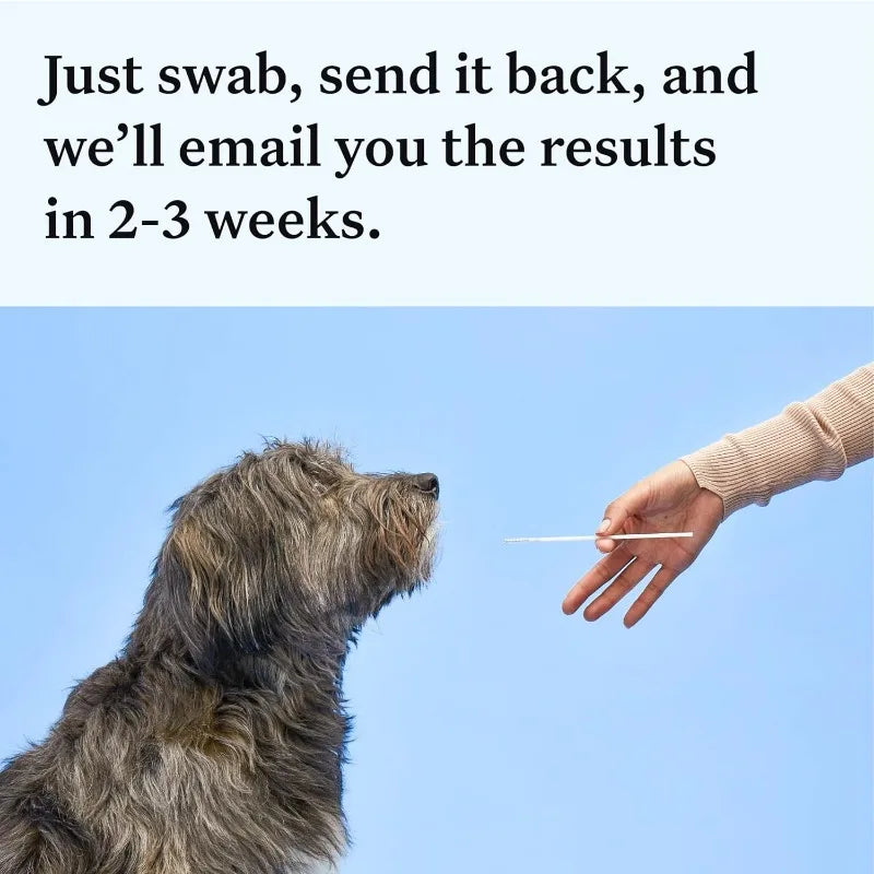 Wisdom Panel Essential Dog DNA Kit