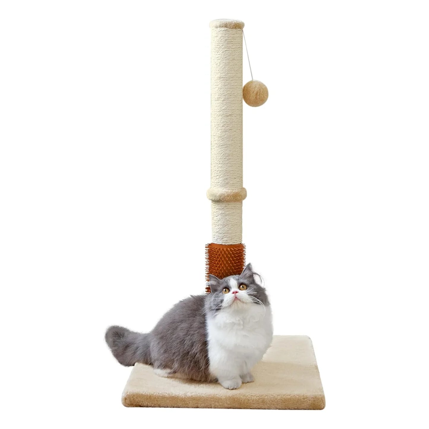32" Tall Cat Scratching Posts For Indoor Cats
