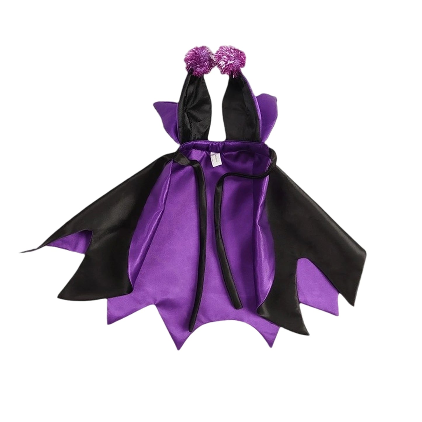 Halloween Pet Costume