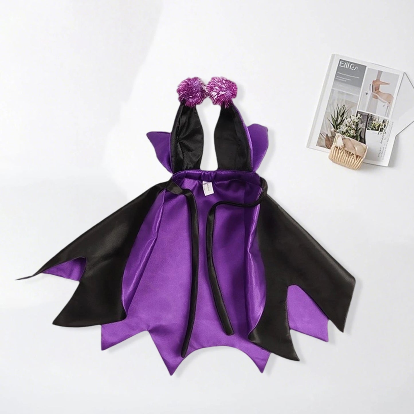 Halloween Pet Costume
