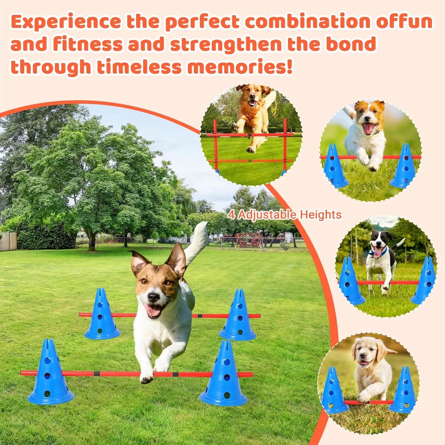 Dog Agility Hurdle Cone Set