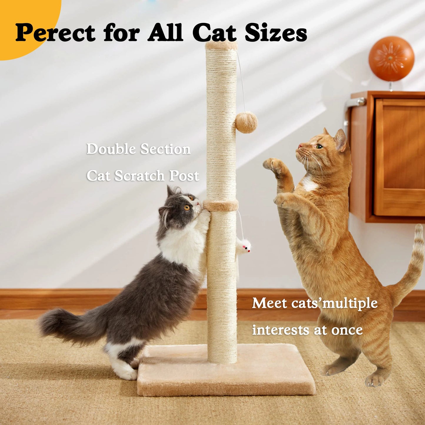 32" Tall Cat Scratching Posts For Indoor Cats