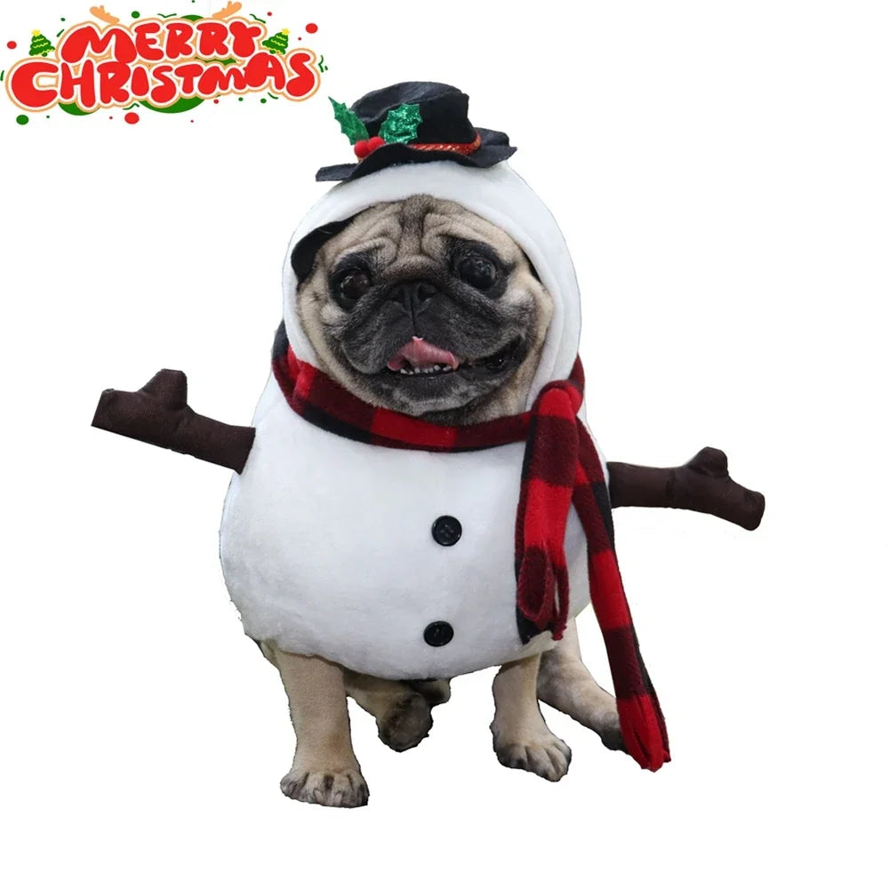 Christmas Wearing Outfits
