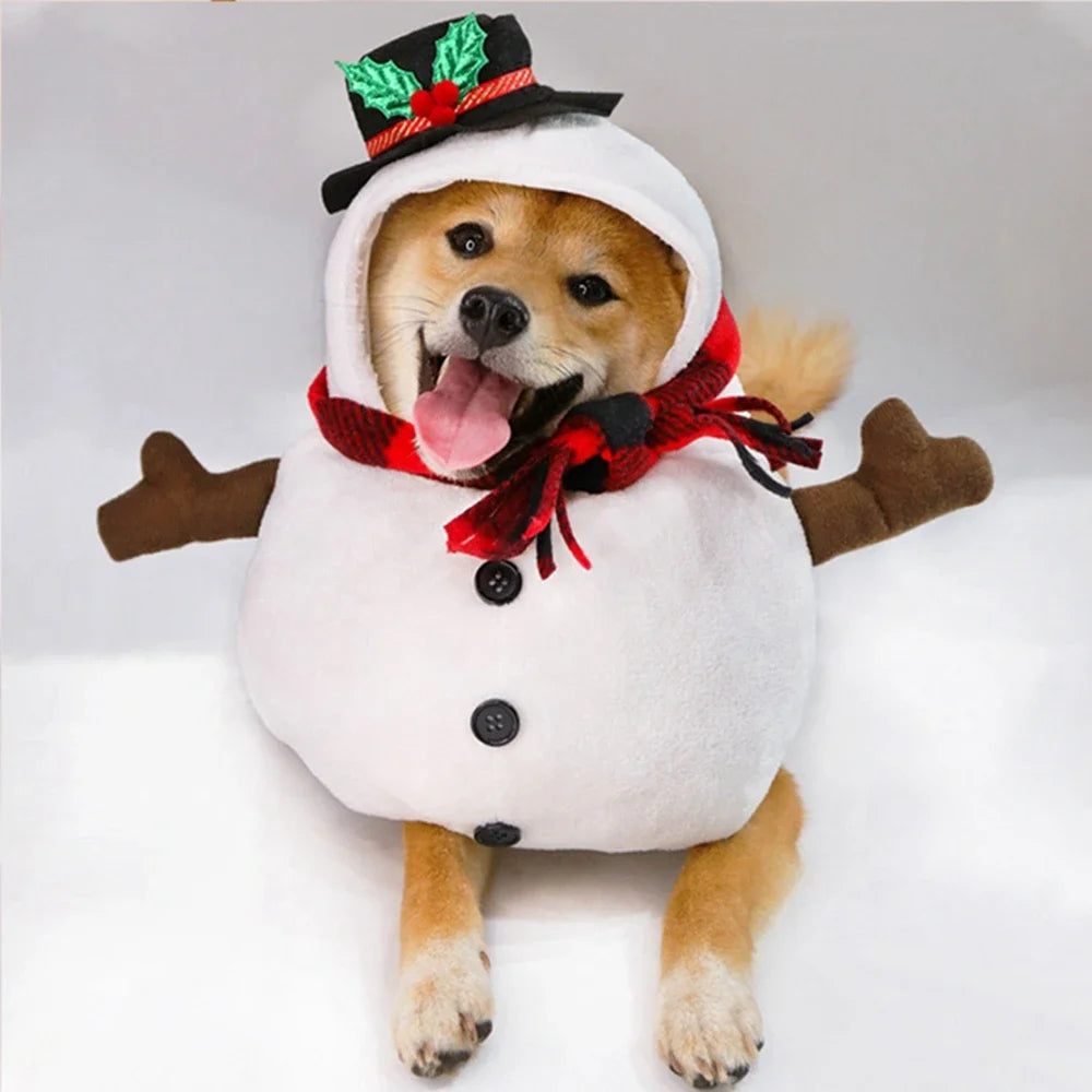 Christmas Wearing Outfits