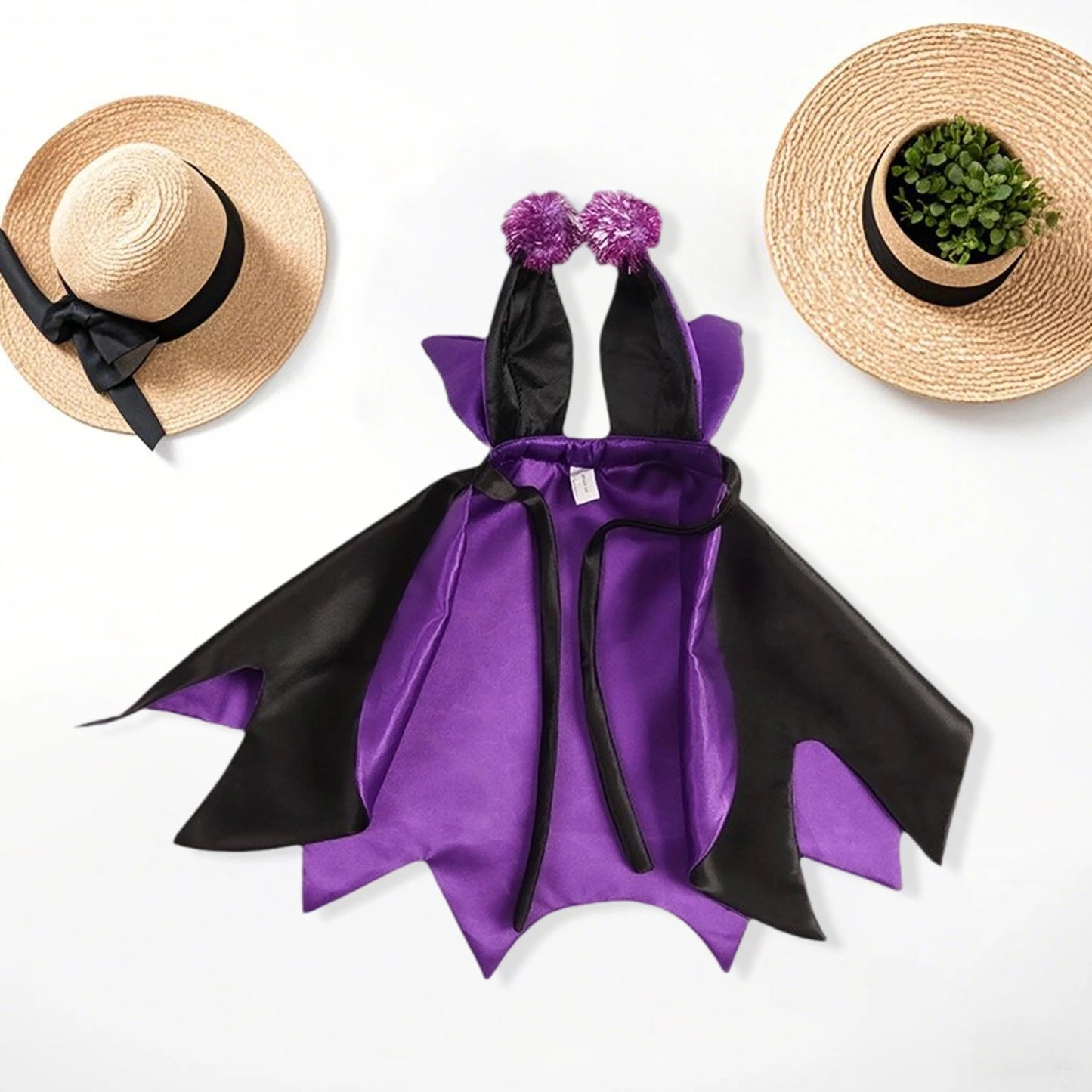 Halloween Pet Costume