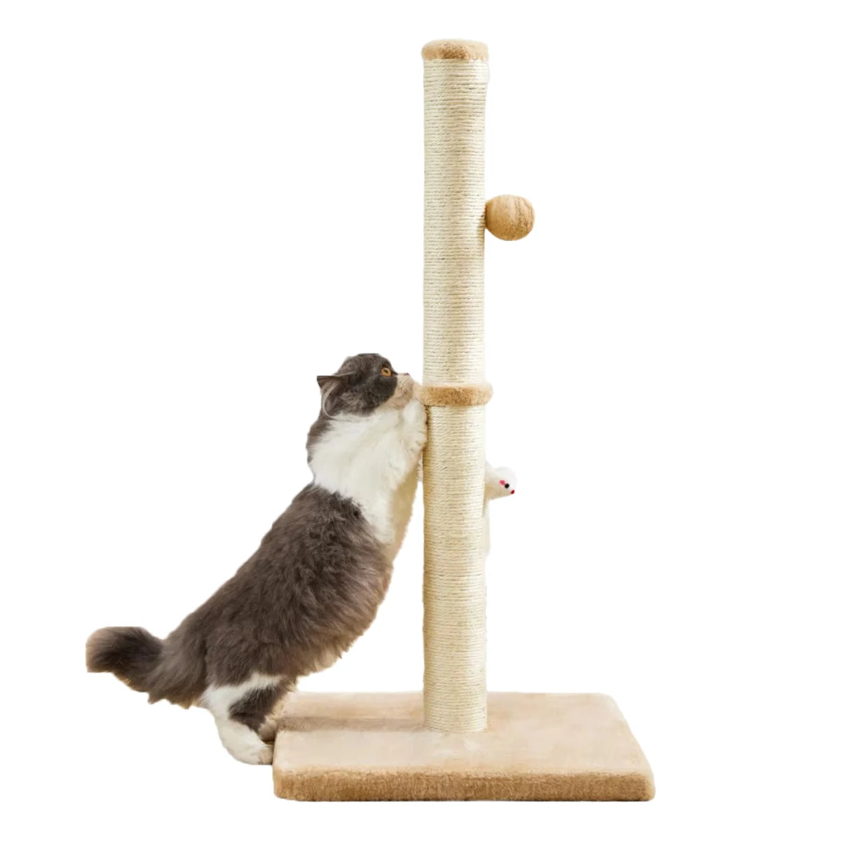 32" Tall Cat Scratching Posts For Indoor Cats