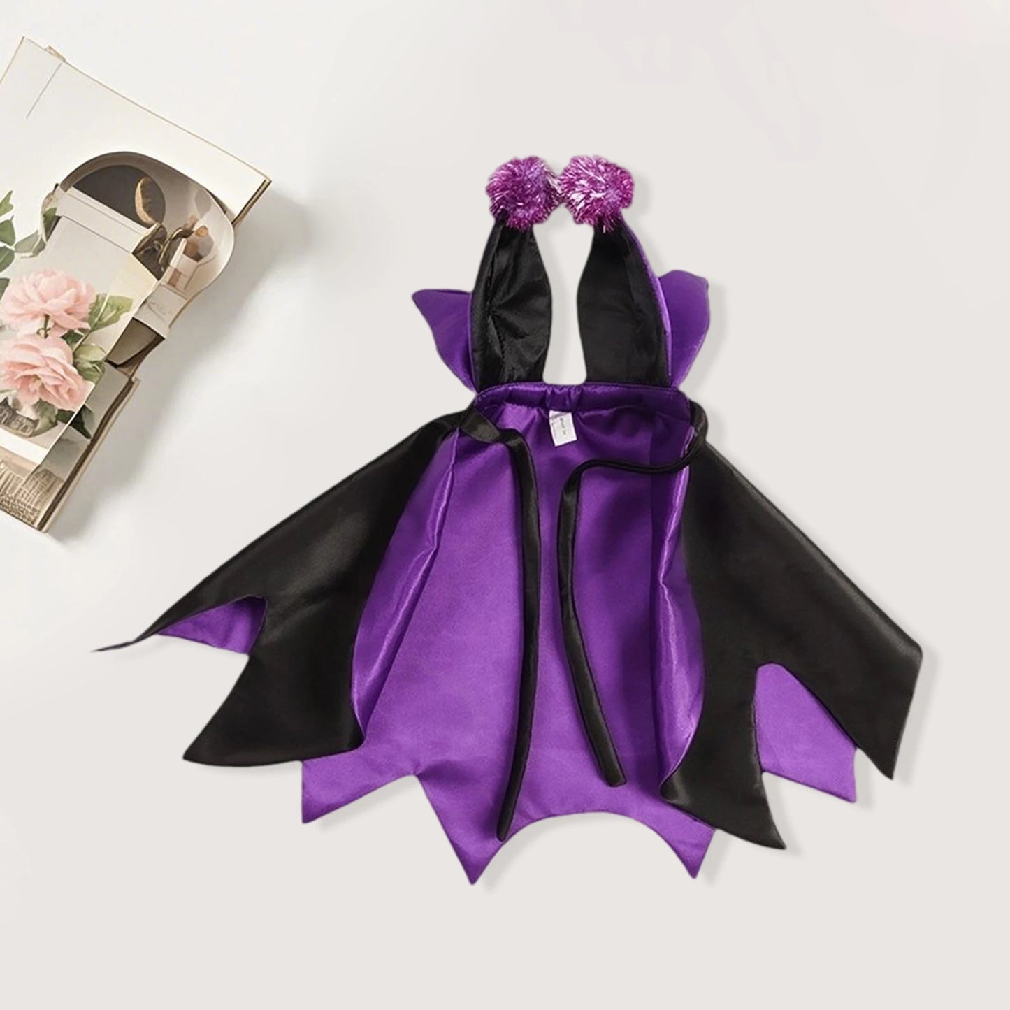 Halloween Pet Costume