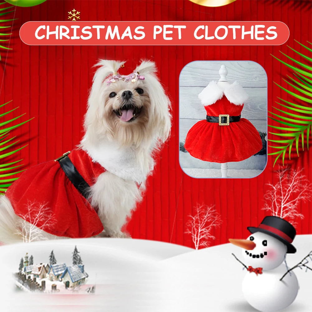 Dog Girls Winter Clothes