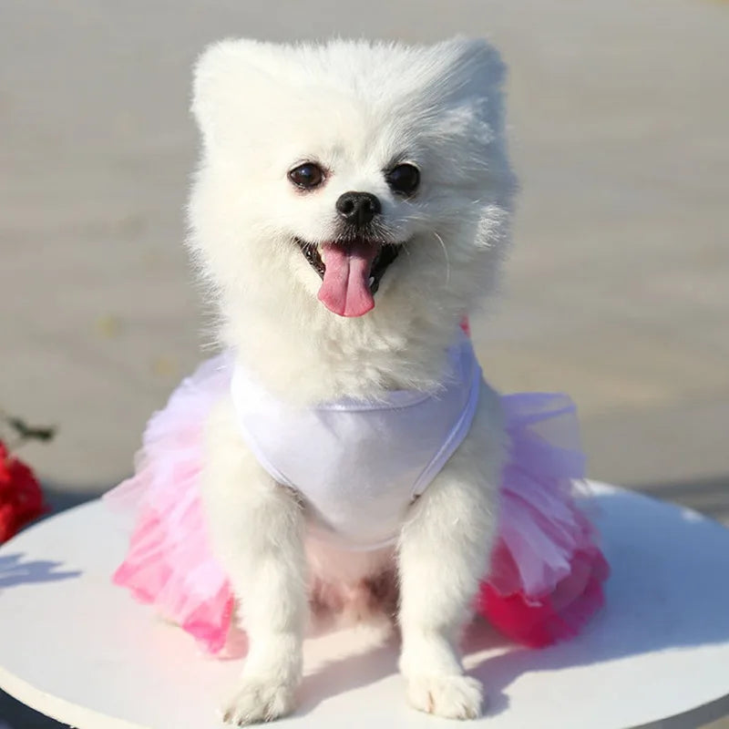 Sweet Dog Princess Dress for Small Dogs