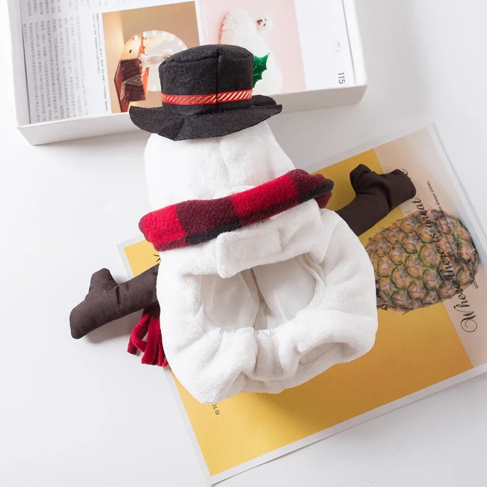 Christmas Wearing Outfits