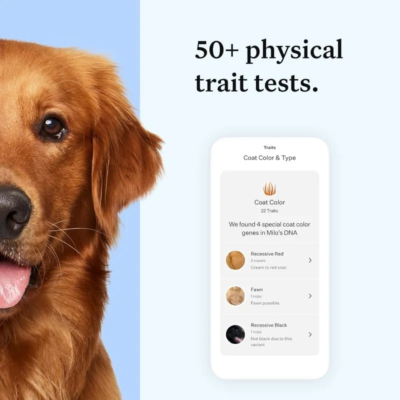 Wisdom Panel Essential Dog DNA Kit