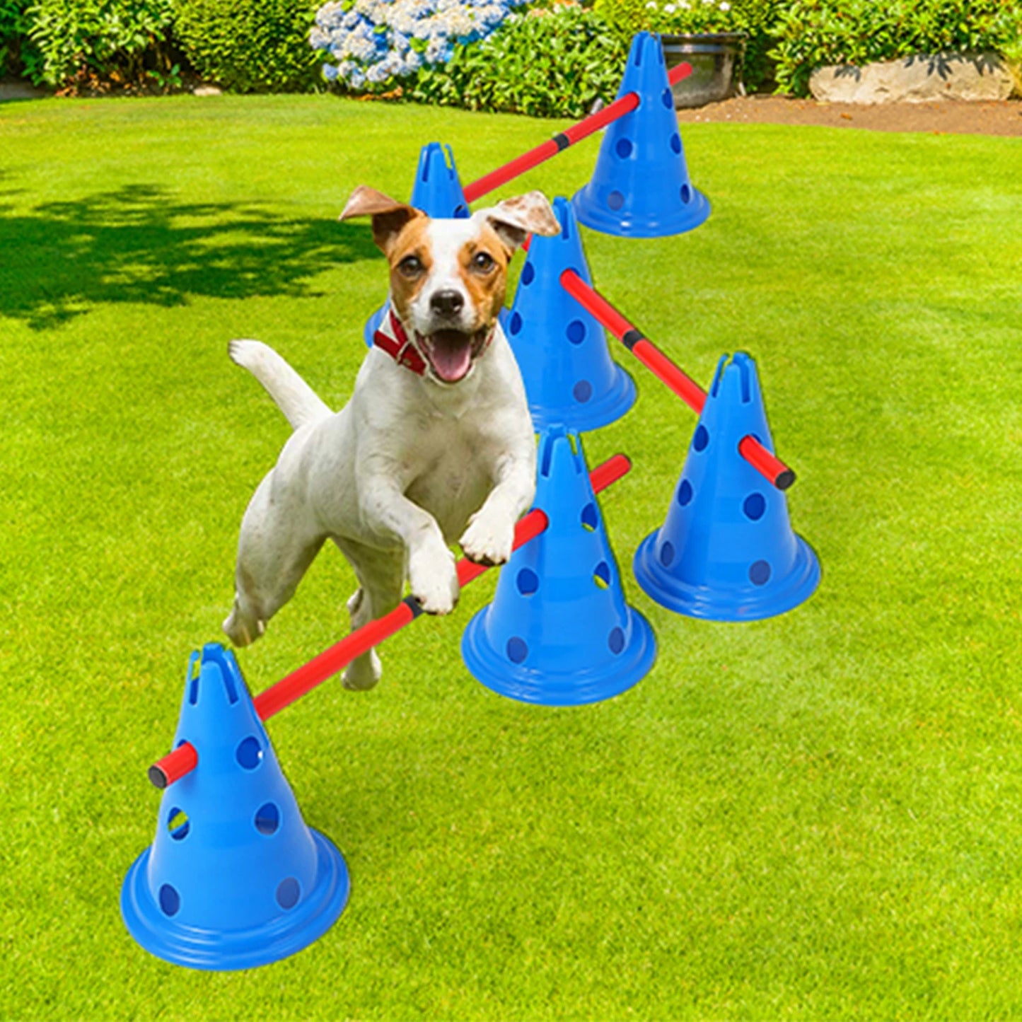 Dog Agility Hurdle Cone Set
