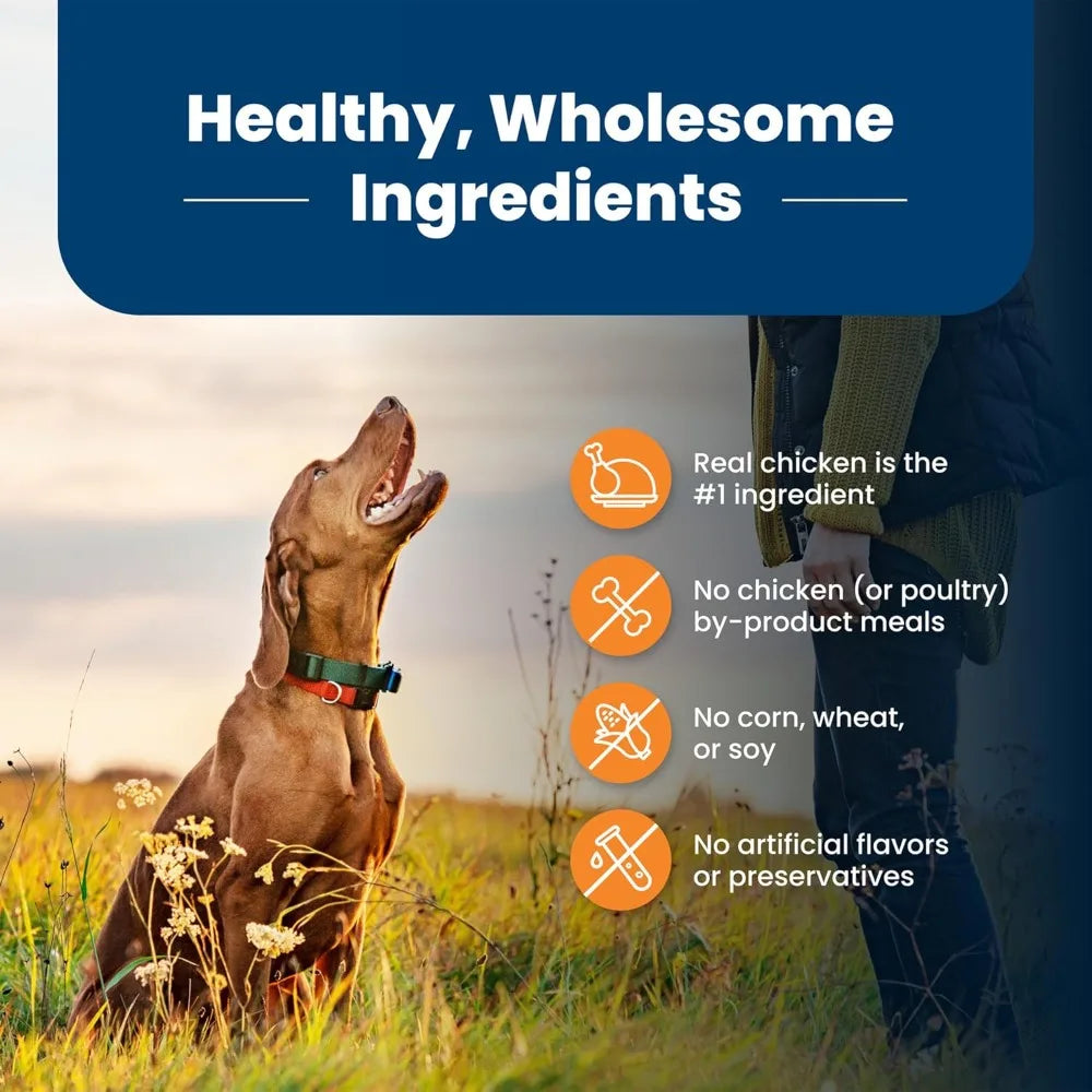 Life Protection Formula Large Breed Adult Dry Dog Food,