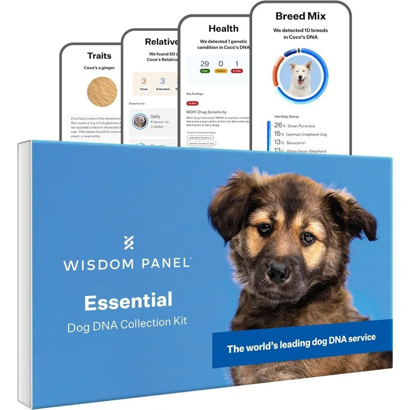 Wisdom Panel Essential Dog DNA Kit