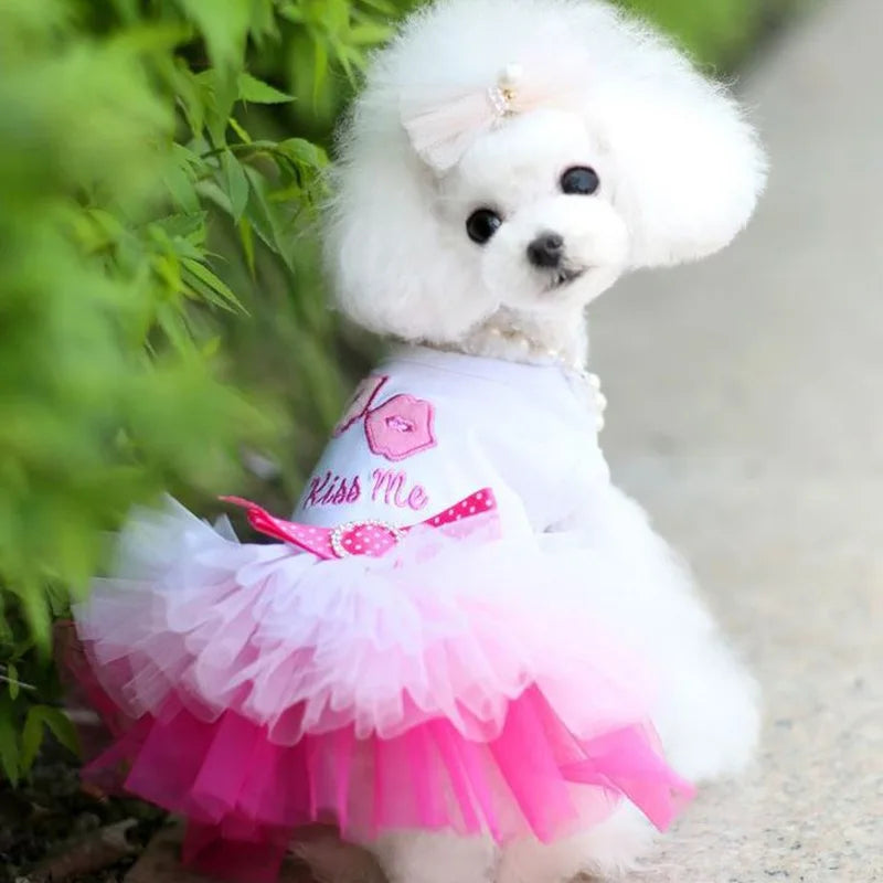 Sweet Dog Princess Dress for Small Dogs