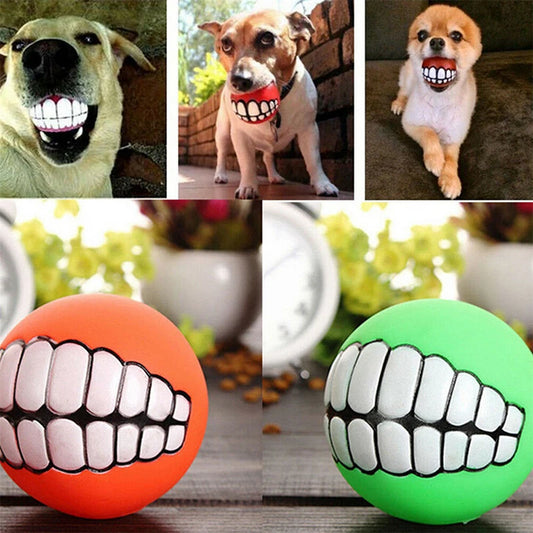 Pet Dog Ball