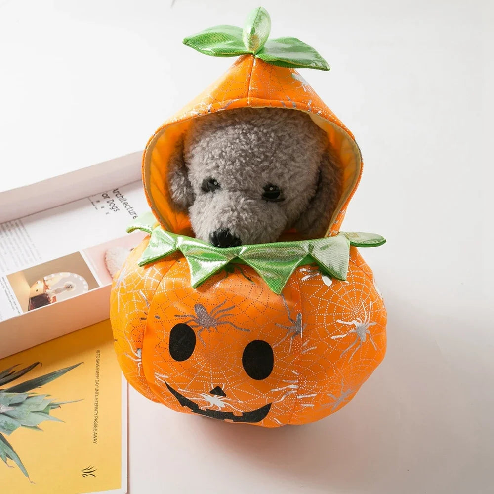 Funny Pumpkin Pet Clothes