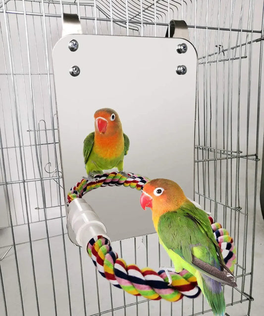 Small Parakeet Rope Stand