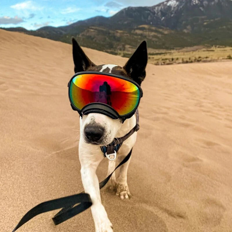 Sunglasses Anti-UV Sun Glasses Eyewear Protection Adjustable Windproof Sunglasses