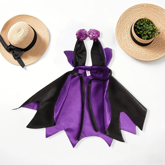 Halloween Pet Costume