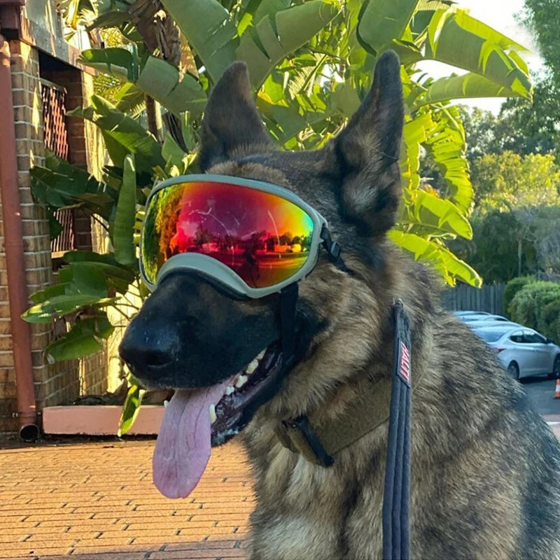 Sunglasses Anti-UV Sun Glasses Eyewear Protection Adjustable Windproof Sunglasses