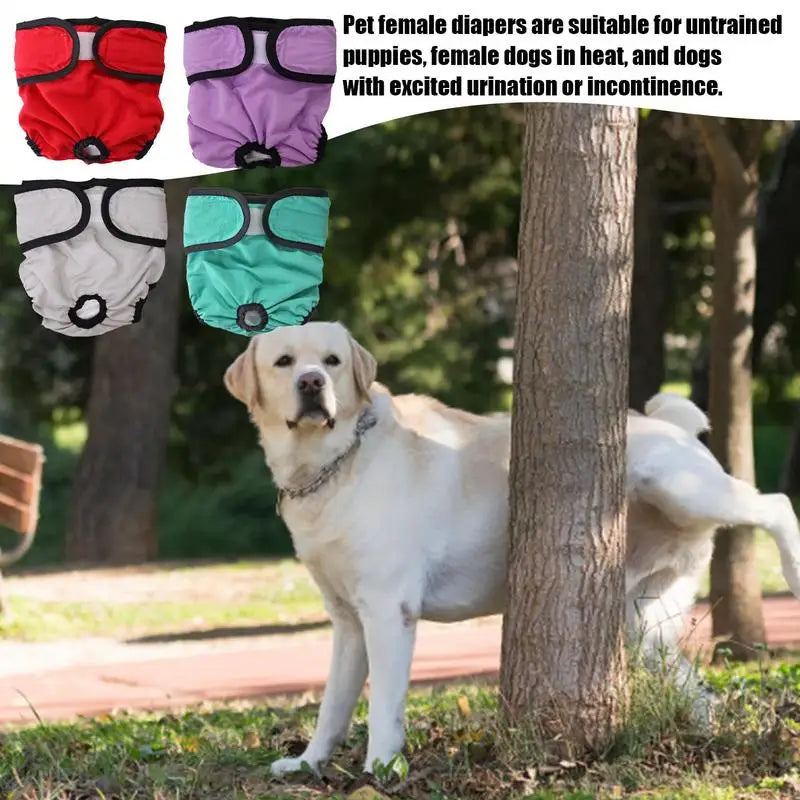 Female Dog Diapers For Heat Cycle