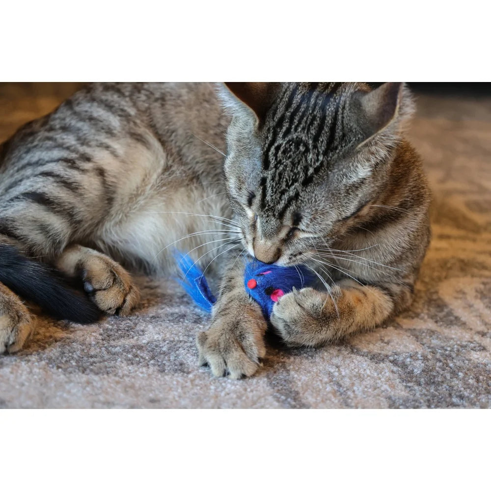 24 Piece Assorted Cat Toys Set