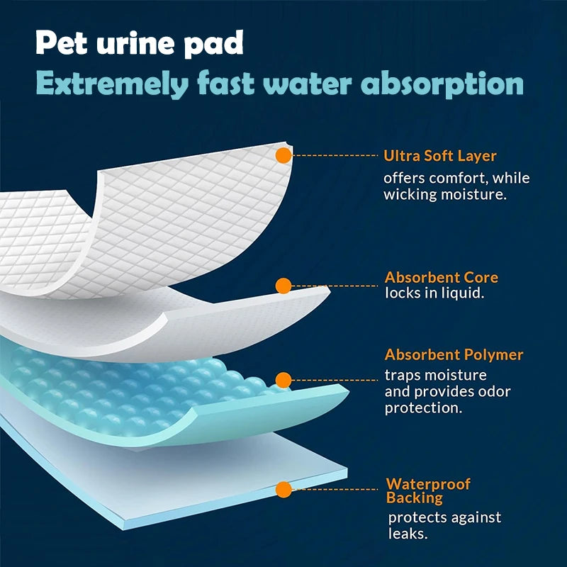 Disposable absorbent dog training pads