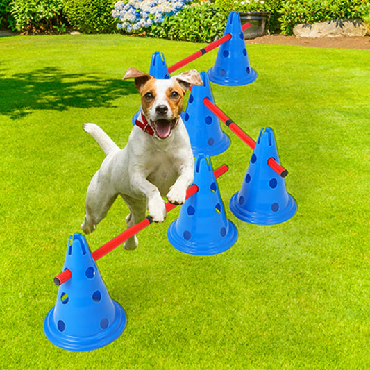 Dog Agility Hurdle Cone Set